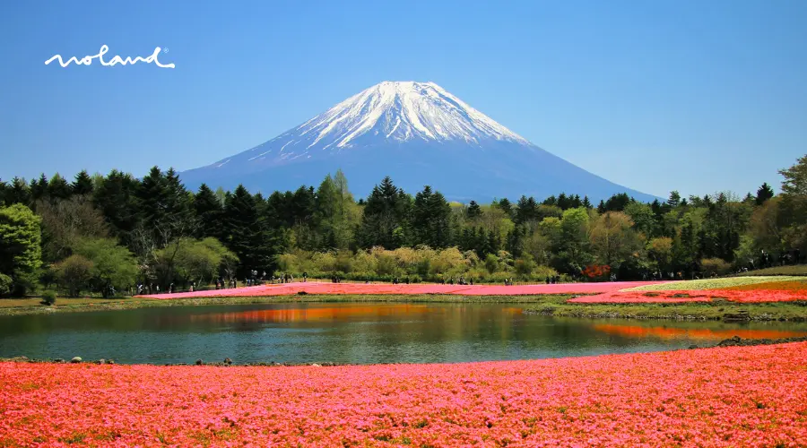 Monte fuji viajar con la familia y amigos
