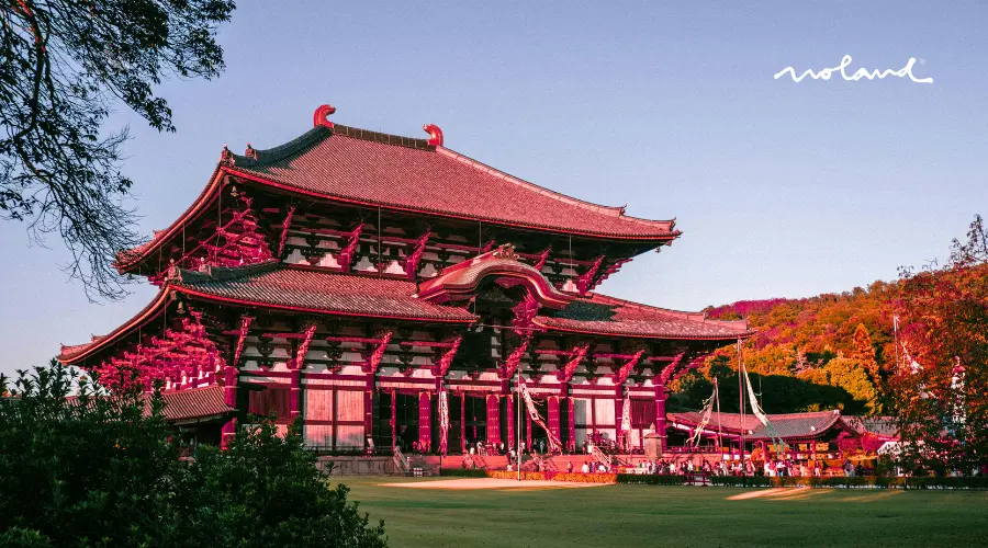 Nara excursiones naturaleza y japon en estado puro