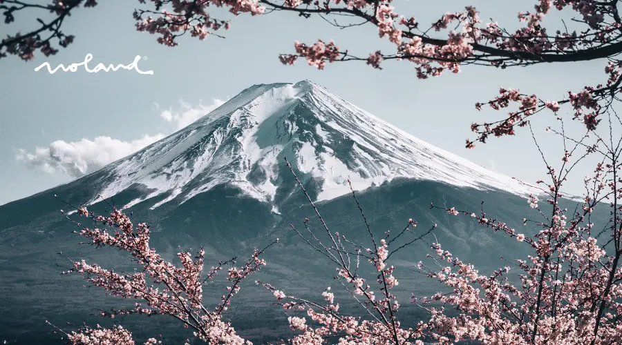 Japón en invierno