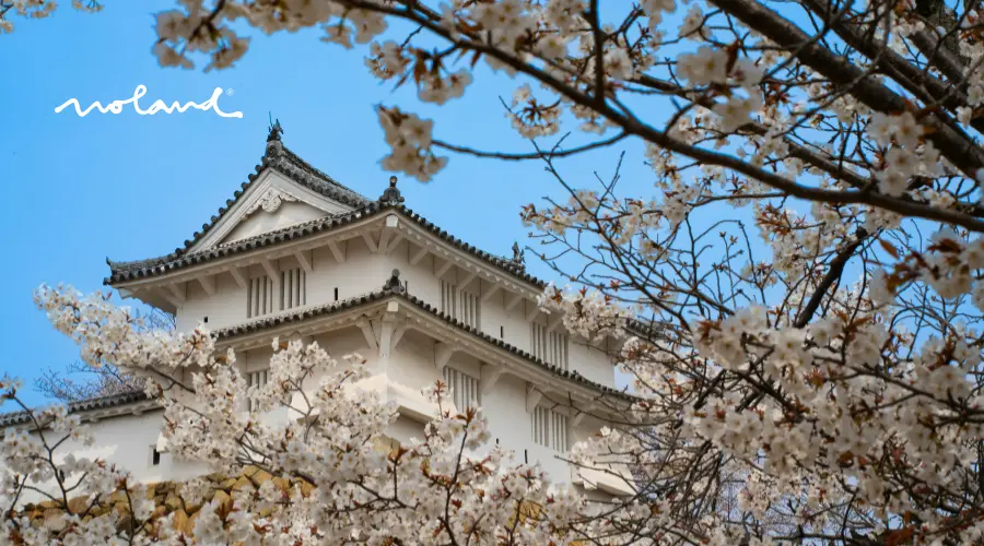 Japón en primavera
